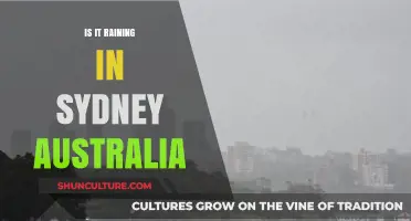 Sydney's Weather Update: Is It Raining in the Harbour City?