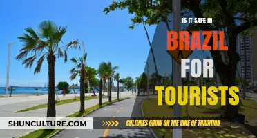 Exploring Brazil: Safety Tips and Insights for Tourists