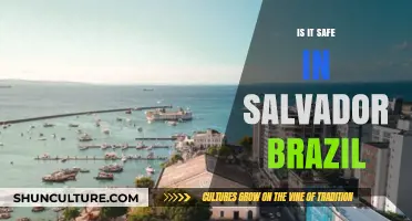 Exploring Salvador, Brazil: Safety Tips for Travelers and Locals Alike