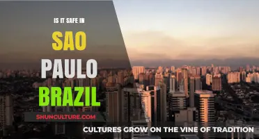 Safety in São Paulo: Navigating Brazil's Urban Giant with Caution