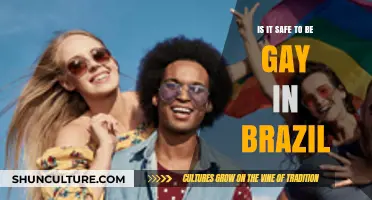 LGBTQ+ Safety in Brazil: Navigating Challenges and Celebrating Resilience