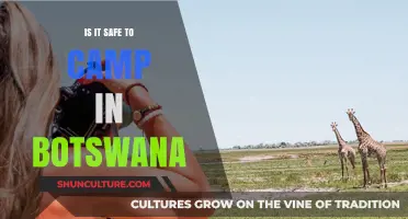 Camping in Botswana: Safety Tips and Wildlife Encounters Guide