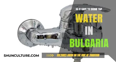 Exploring Bulgaria's Tap Water: Safe to Drink or Not?