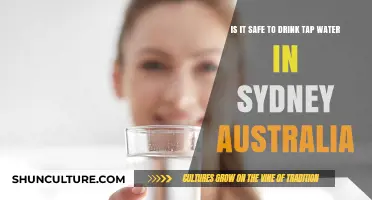 Is Sydney's Tap Water Safe to Drink? A Comprehensive Guide