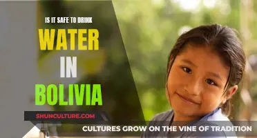 Bolivia's Water: Safe to Drink?