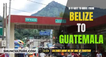 The Road Less Traveled: Navigating the Belize-Guatemala Border by Car