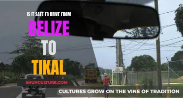 Belize to Tikal Road Trip: Is it Safe to Drive?