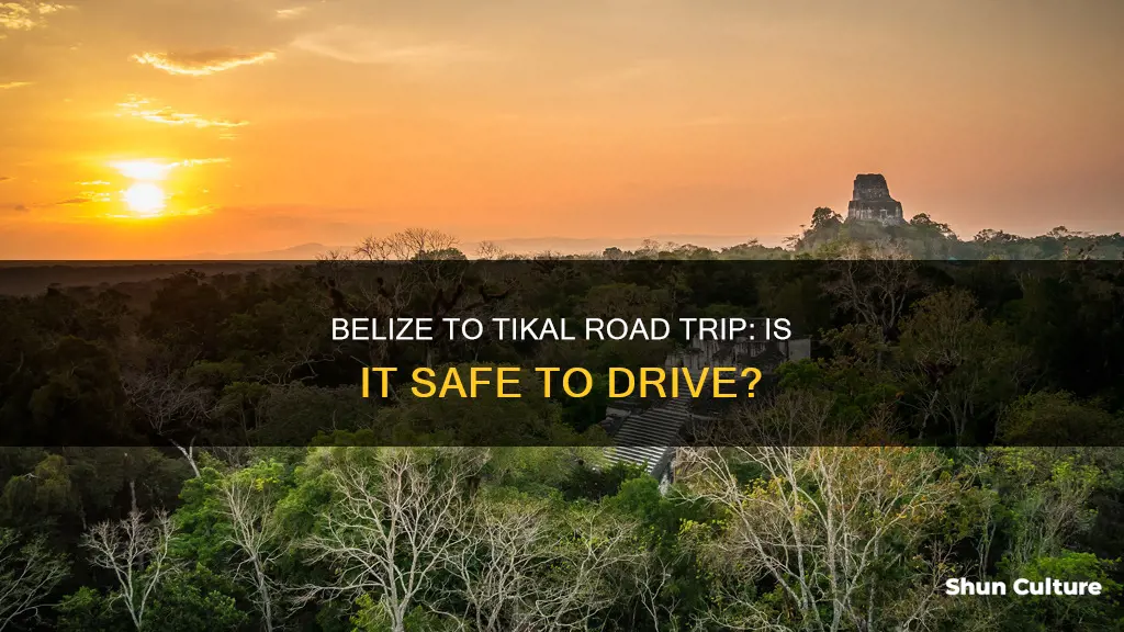 is it safe to drive from belize to tikal