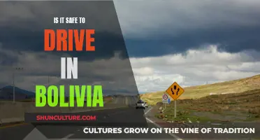 Driving in Bolivia: Safe or Not?