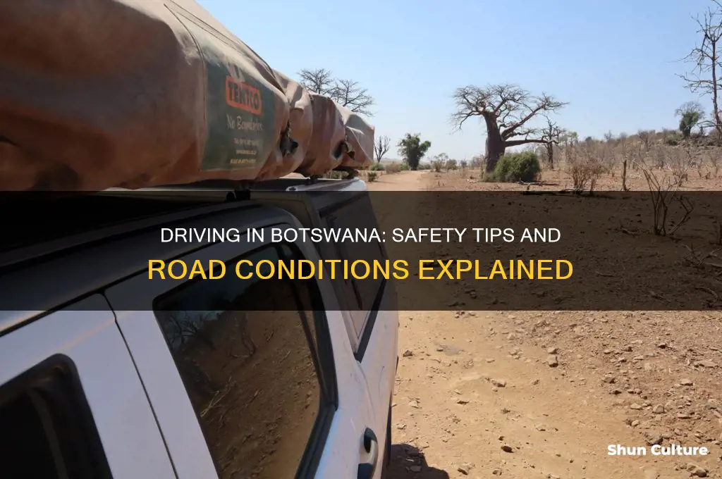 is it safe to drive in botswana