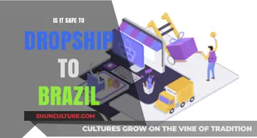 Dropshipping to Brazil: Safety, Challenges, and Opportunities Explored