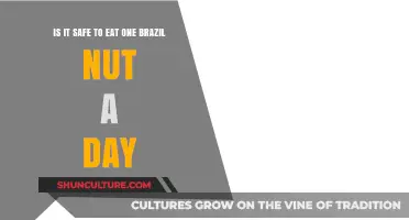 Is One Brazil Nut Daily Safe? Health Benefits and Risks Explained
