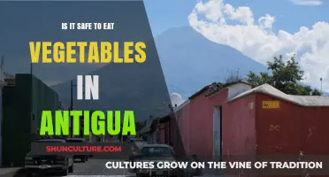 Eating Vegetables in Antigua: Safety Tips and Local Insights