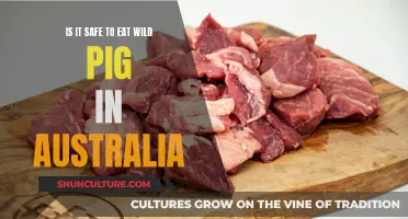 Wild Boar in Australia: Safe to Eat?