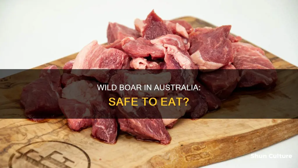 is it safe to eat wild pig in australia