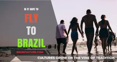Is It Safe to Fly to Brazil? Travel Tips and Insights