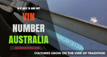 Sharing Your VIN: Is It Safe?