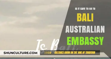 Is Bali Safe for Australians? Embassy Insights and Travel Tips