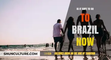 Traveling to Brazil Now: Safety Tips and Current Conditions