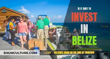 Belize: A Safe Haven for Investors?