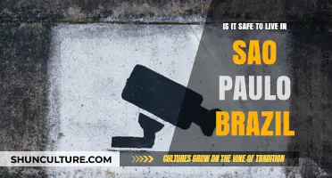 Living in São Paulo: Safety Concerns and Realities Explored