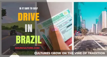 Self-Driving in Brazil: Safety Tips and Road Realities