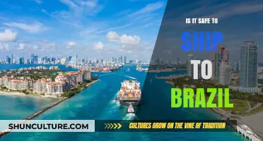 Shipping to Brazil: Safety Tips and Reliable Delivery Options