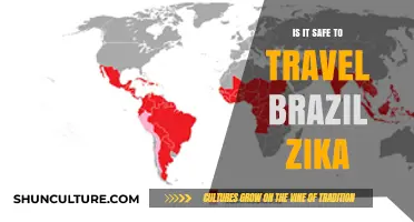 Traveling to Brazil Amid Zika Concerns: Safety Tips and Precautions