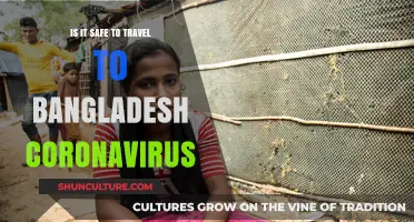 Traveling to Bangladesh During COVID-19: Safety Tips and Guidelines