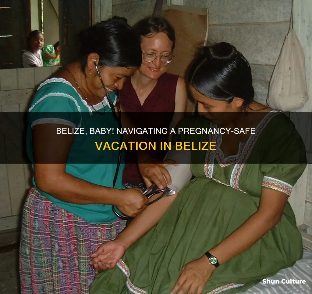 is it safe to travel to belize when pregnant