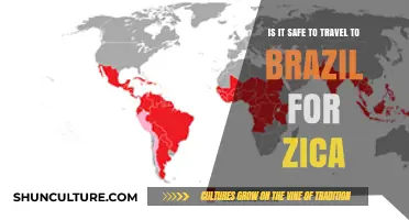 Traveling to Brazil: Zika Risks and Safety Precautions Explained