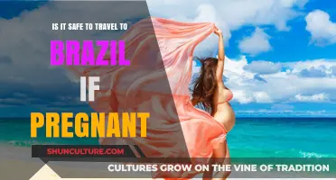 Pregnant and Planning a Trip to Brazil? Safety Tips and Advice