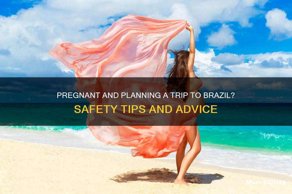 is it safe to travel to brazil if pregnant