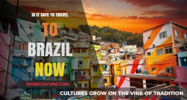 Traveling to Brazil in 2023: Safety Tips and Current Risks
