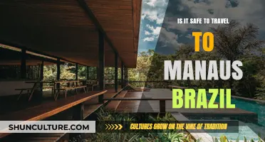 Traveling to Manaus, Brazil: Safety Tips and Considerations for Visitors