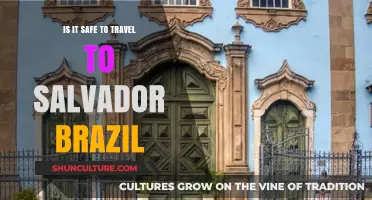 Traveling to Salvador, Brazil: Safety Tips and Precautions for Visitors