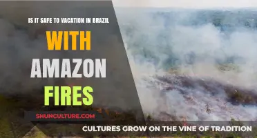 Brazil Travel Safety: Amazon Fires Impact on Vacation Plans