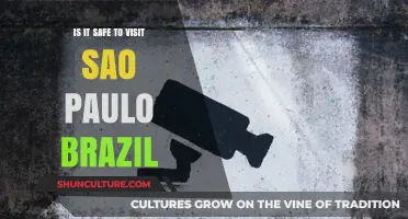 Exploring São Paulo: Safety Tips for Travelers in Brazil's Urban Hub