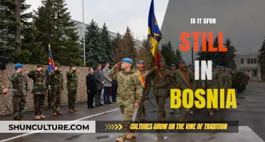 Is SFOR Still in Bosnia? Understanding the Current Situation