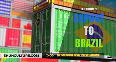 Exporting to Brazil: Smart Strategy or Risky Venture?