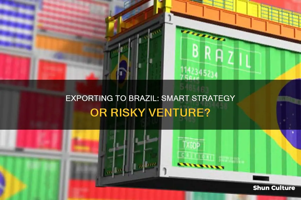 is it smart to export to brazil
