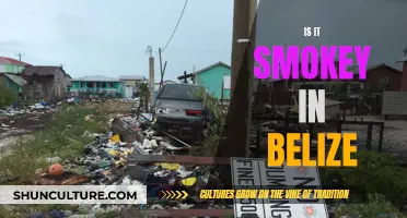 Belize's Smoky Season: Navigating the Country's Annual Agricultural Burn