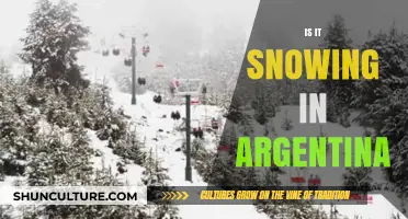 Winter Wonders: Is It Snowing in Argentina?