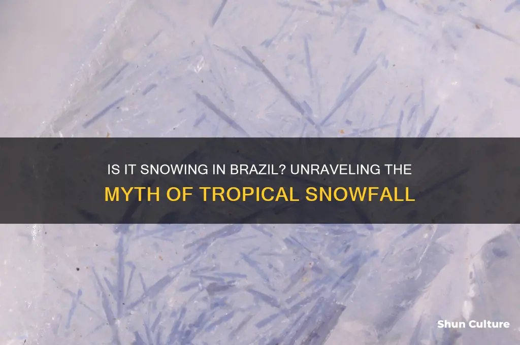 is it snowing in brazil