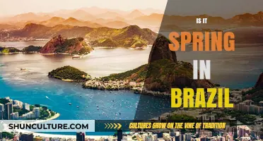 Is It Spring in Brazil? Exploring Seasons in the Tropics