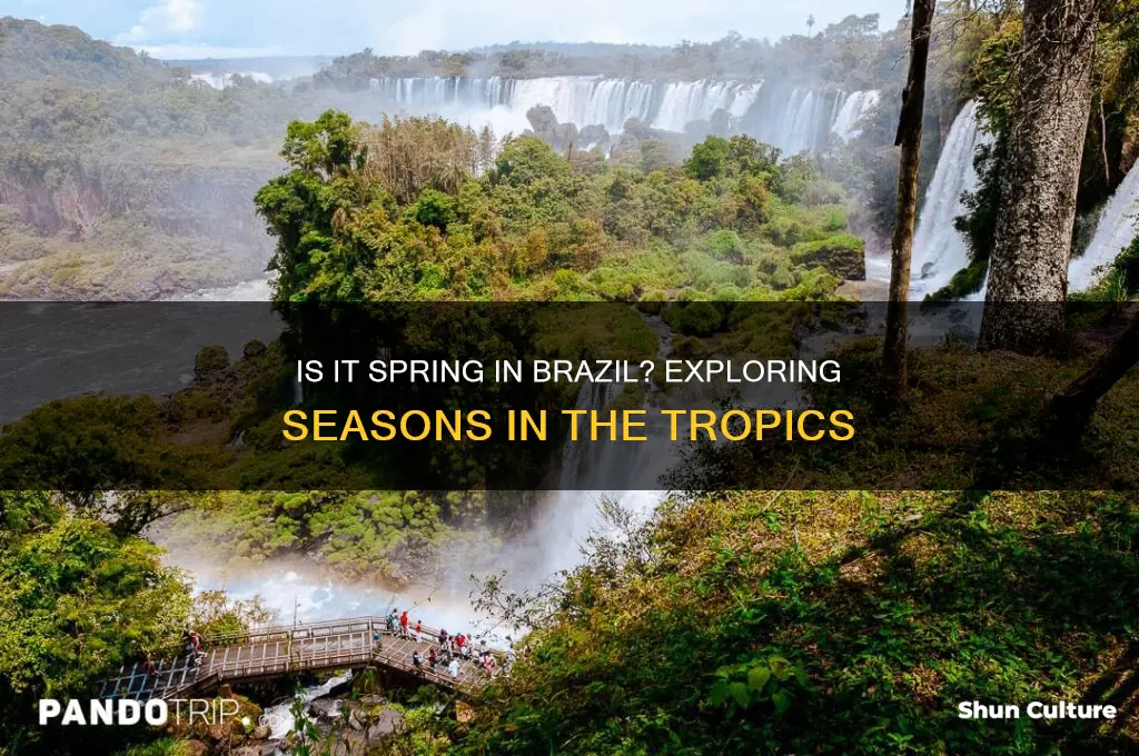 is it spring in brazil