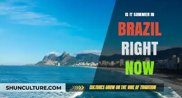 Is It Summer in Brazil Right Now? Seasonal Insights Explained