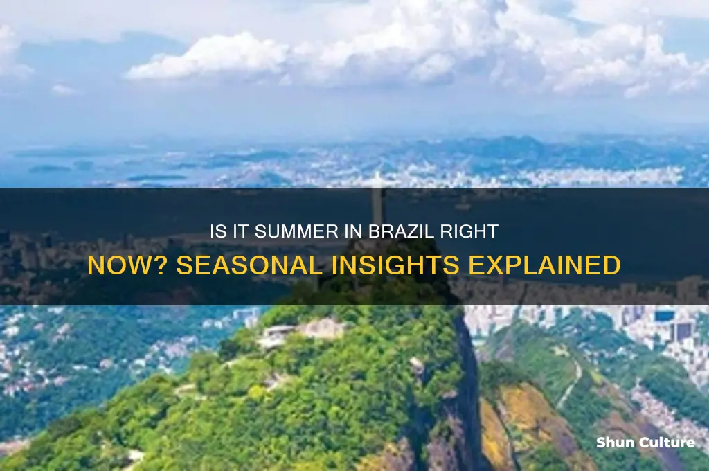 is it summer in brazil right now