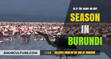 Exploring Burundi's Climate: Rainy or Dry Season?