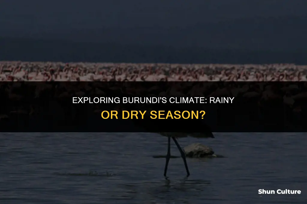 is it the rainy or dry season in burundi